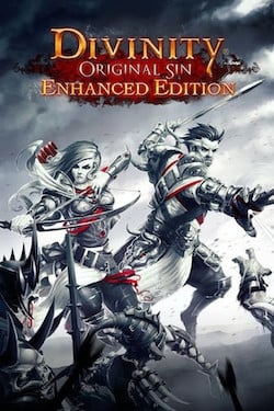 Divinity: Original Sin Enhanced Edition (2015)