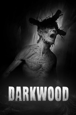 Заставка ігри: Darkwood (2016)
